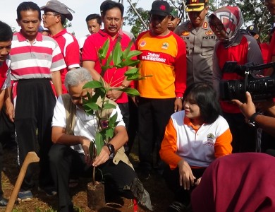 gubernur menanam pohon